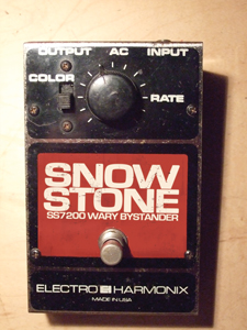 the snowfields
